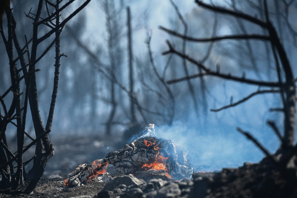 Εντοπισμός πυρκαγιών με… αλγόριθμο - Θερμικές κάμερες και αισθητήρες στα δάση - ΕΛΛΑΔΑ