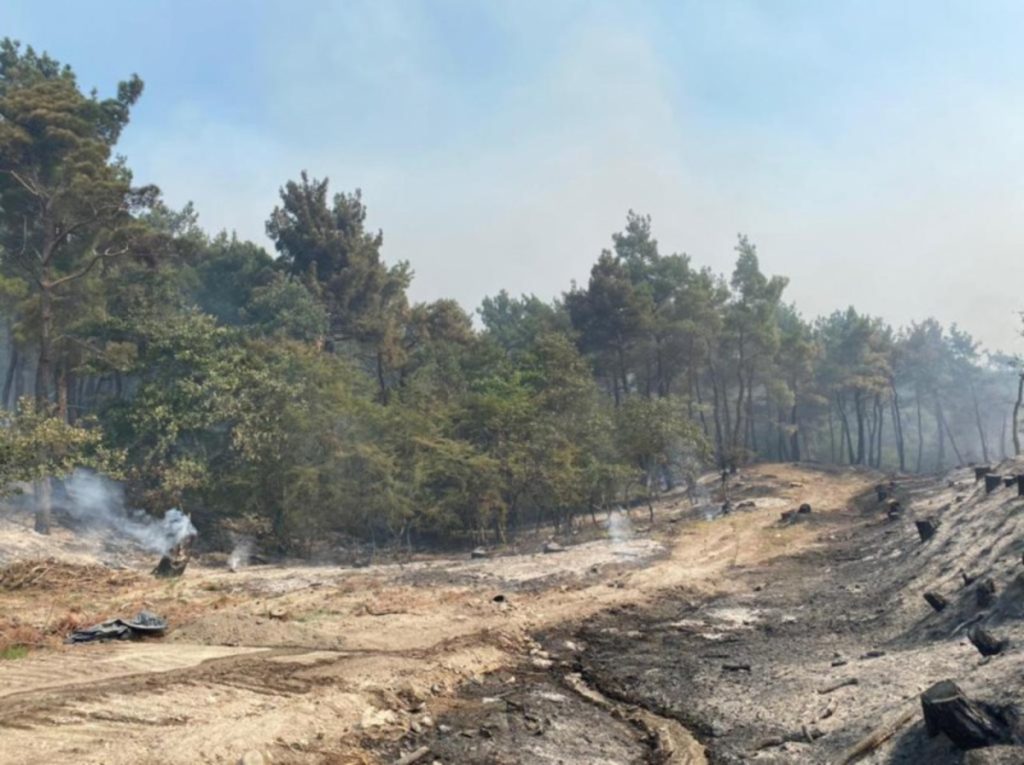 Πυρκαγιές: Βελτιωμένη κατάσταση σε Δαδιά και Λέσβο, χωρίς ενεργό μέτωπο η Ηλεία - ΕΛΛΑΔΑ