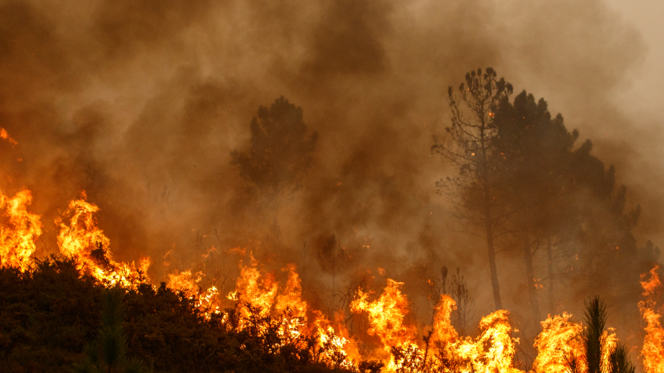 Ακραίος καύσωνας και μεγάλες πυρκαγιές σε Πορτογαλία, Ισπανία και Γαλλία - ΔΙΕΘΝΗ