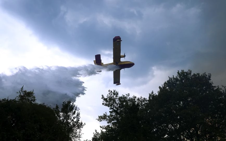 Φωτιά στη Φθιώτιδα: Σηκώθηκαν δύο αεροσκάφη - ΕΛΛΑΔΑ