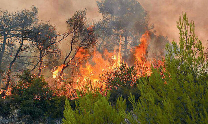 Καιρός: Μεγάλος κίνδυνος για φωτιά σε αυτές τις περιοχές μέχρι την Τρίτη – Ποια μέρα κινδυνεύει η Αχαΐα - καιρος