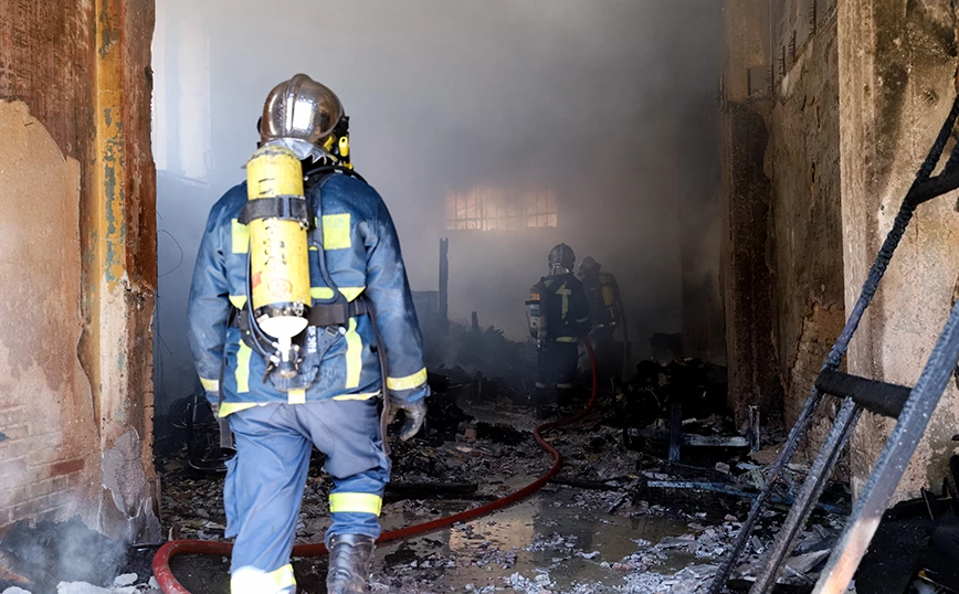 Λεχαινά: Πυροσβέστης επιχειρούσε σε φωτιά και τον δάγκωσε φίδι - ΠΕΛΟΠΟΝΝΗΣΟΣ