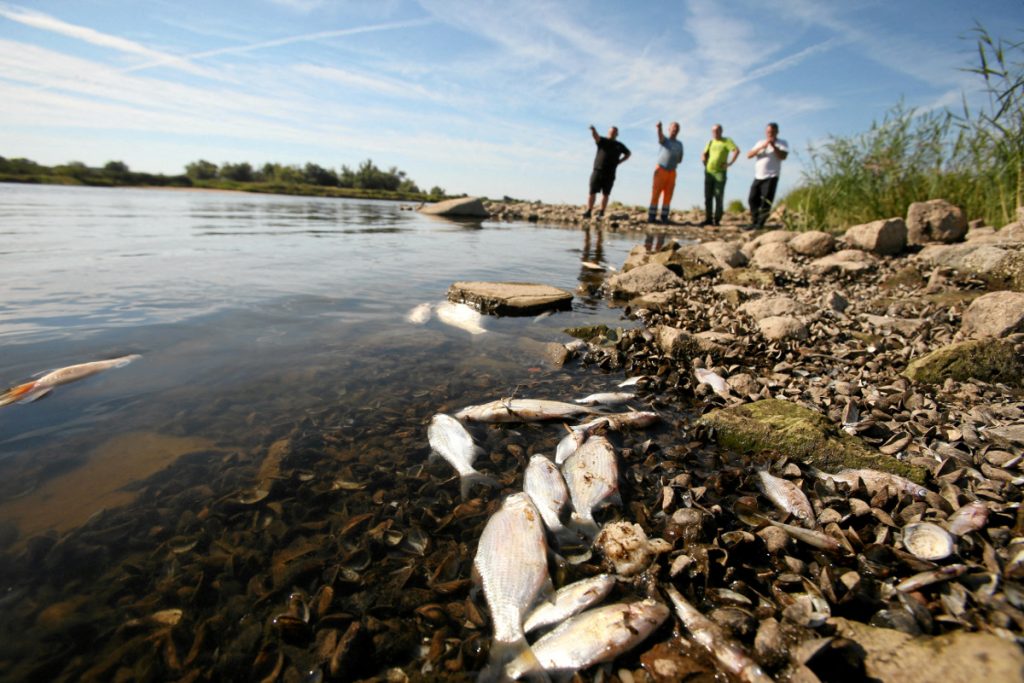 Ομαδικός θάνατος ψαριών στον ποταμό Όντερ από τοξική ουσία - ΔΙΕΘΝΗ