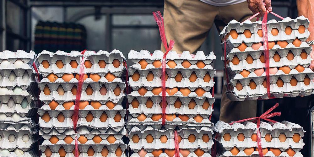 Κίνα: Ο καύσωνας έφερε αύξηση στις τιμές των...αυγών, καθώς οι κότες γεννούν λιγότερο - ΔΙΕΘΝΗ