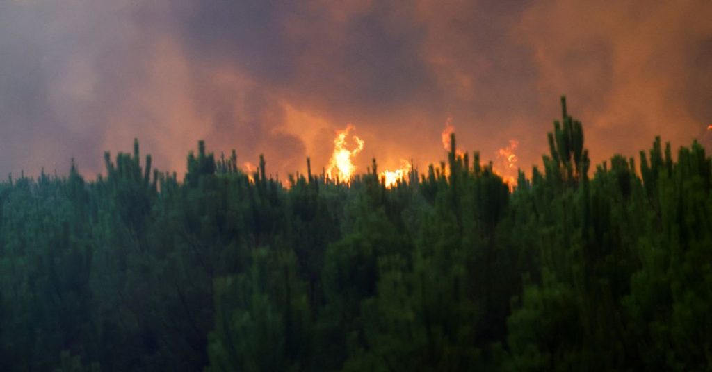 Γαλλία: Πυρκαγιά - «τέρας» κατακαίει το Μπορντό - Μάχη για την κατάσβεσή της - ΔΙΕΘΝΗ