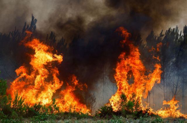 Φωτιά τώρα στην Εύβοια – Καίει κοντά σε σπίτια - ΝΕΑ