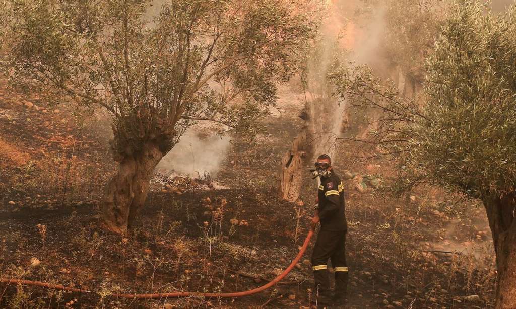 Φωτιά στην Κέρκυρα: Επί ποδός η Πυροσβεστική - ΔΙΕΘΝΗ
