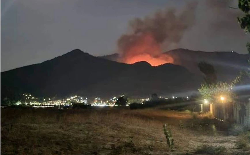 Αστεροσκοπείο Αθηνών: Η φωτιά στη Θάσο έκαψε 2.770 στρέμματα - ΕΛΛΑΔΑ
