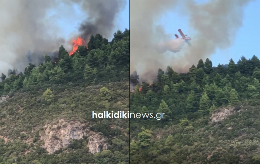 Πυρκαγιές: Δύσκολη η κατάσταση σε Άγιο Όρος, Χαλκίδα και Κόνιτσα – 16 φωτιές ταυτόχρονα σε όλη τη χώρα - ΑΓΙΟ ΟΡΟΣ