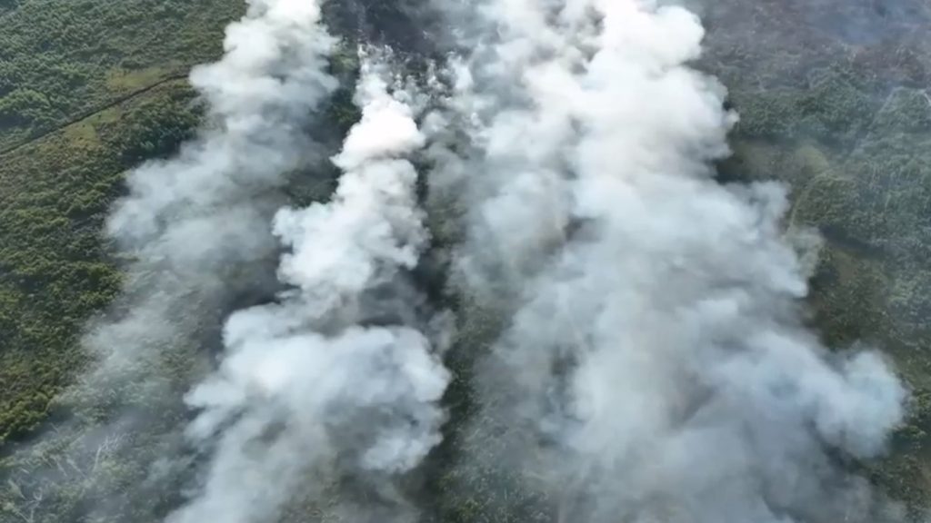 Ρωσία: Καπνός από δασικές πυρκαγιές «πνίγει» την Μόσχα - ΔΙΕΘΝΗ