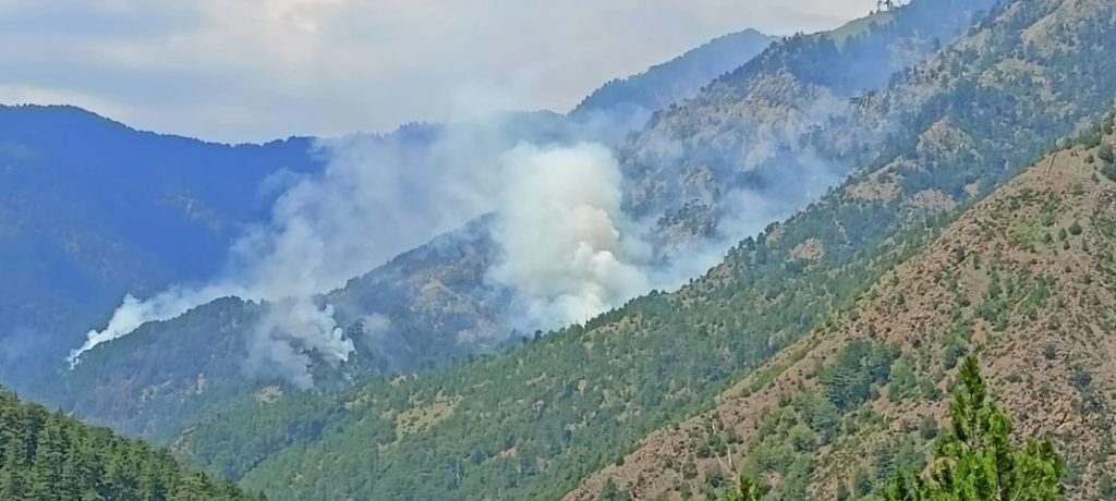 Κοζάνη: Συνεχίζει να καίει για 12η ημέρα η φωτιά στον εθνικό δρυμό της Βάλια Κάλντα - ΕΛΛΑΔΑ