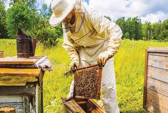Κόρινθος: Πλήρης ψηφιοποίηση στον κλάδο – Η πρώτη ατομική ψηφιακή μελισσοκομική ταυτότητα - ΚΟΡΙΝΘΙΑ