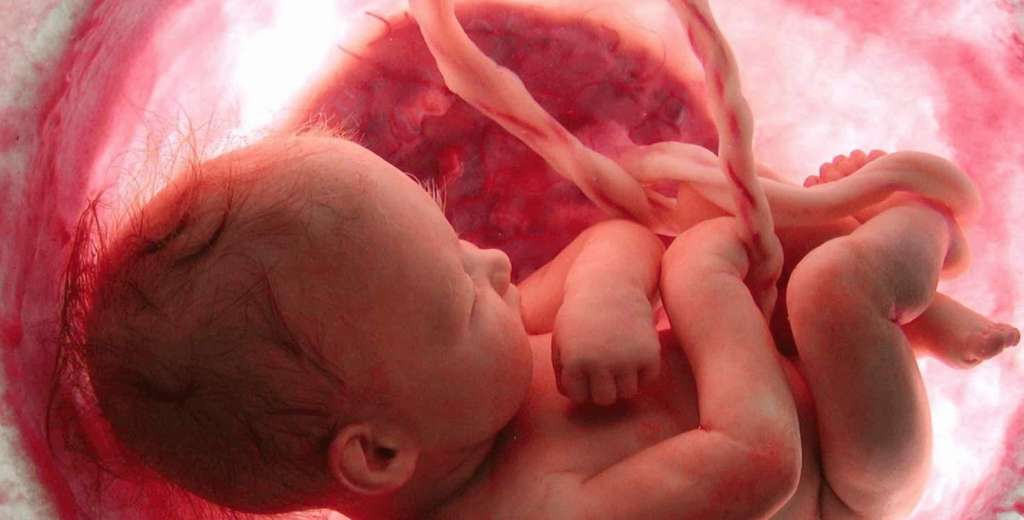 Ιατρικό «θαύμα»: Θεράπευσαν έμβρυο από μια σπάνια γενετική ασθένεια όσο ακόμα βρισκόταν στην μήτρα - ΥΓΕΙΑ
