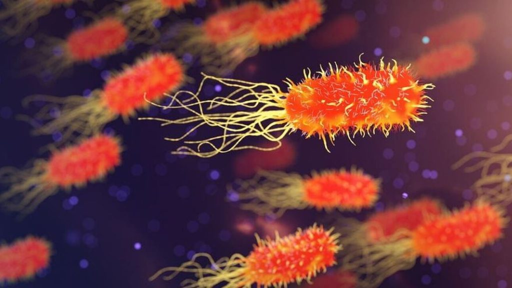 ΠΟΥ: Βακτήρια που προκαλούν λοιμώξεις στο αίμα έγιναν «πολύ ανθεκτικά» το 2020 - ΥΓΕΙΑ