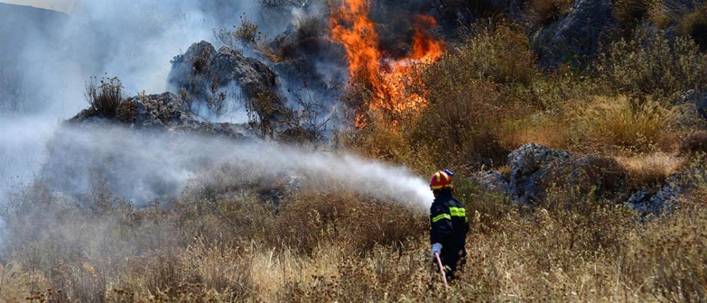 Φωτιά στη Βοιωτία – Στις φλόγες τυλίχθηκε δάσος στην περιοχή Κλειδί - ΕΛΛΑΔΑ