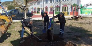 Δημοτικό Σχολείο Περαχώρας: «Φυτεύω και Υιοθετώ ένα δέντρο, δίνω ανάσα στη γη 2022-23» - ΝΕΑ