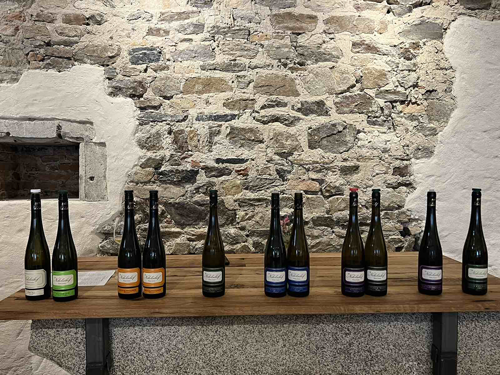 Επιτυχημένη η δράση της Περιφέρειας για την προβολή των κρασιών της Πελοποννήσου στη Βιέννη - ΝΕΑ
