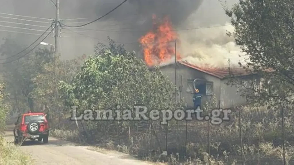 Φωτιά στη Λαμία: Εκκενώνεται το βόρειο τμήμα της πόλης - Κάηκαν σπίτια - ΕΛΛΑΔΑ