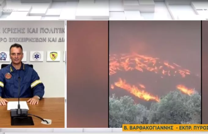 Αναζωπυρώσεις στην πυρκαγιά της Λακωνίας - ΕΛΛΑΔΑ