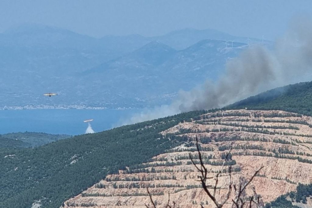 Φωτιά στον Ωρωπό: Μεγάλη πυρκαγιά στο δάσος Μαυροσουβάλας, κλειστοί δρόμοι - Οι πρώτες εικόνες από το σημείο [χάρτης] - ΝΕΑ