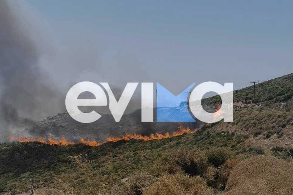 Εύβοια: Φωτιά τώρα σε δασική έκταση στον Πλατανιστό Καρύστου -Τρία τα μέτωπα [βίντεο] - ΕΛΛΑΔΑ
