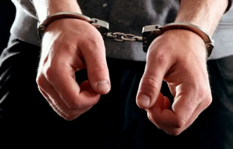 Μεσσηνία: Συνελήφθη ύποπτος για εμπρησμό στην Οιχαλία - ΕΛΛΑΔΑ