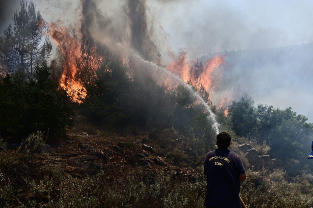 Υπό μερικό έλεγχο οι πυρκαγιές σε Κάρυστο και Πύλο - 31 δασικές πυρκαγιές το τελευταίο 24ωρο - ΕΛΛΑΔΑ