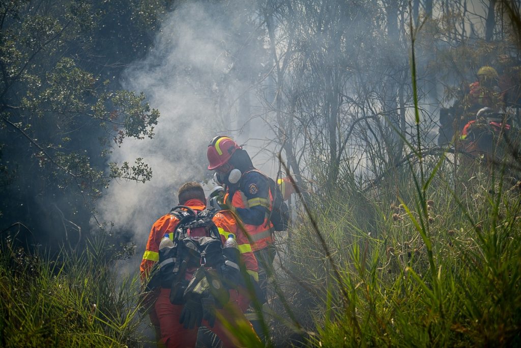 Φωτιά στην Ιεράπετρα - Συναγερμός για καύσιμη ύλη, καίει σε ποταμίδα - ΕΛΛΑΔΑ