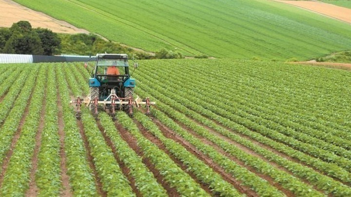 «Μάχη» για ένταξη στις Βιολογικές Καλλιέργειες - Οι δικαιούχοι, οι ασυμβατότητες και οι κίνδυνοι - ΕΛΛΑΔΑ