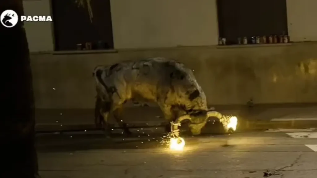 Ισπανία: Έβαλαν φωτιά στα κέρατα ταύρου και τον γύριζαν στους δρόμους - Το βίντεο που προκαλεί οργή - ΔΙΕΘΝΗ
