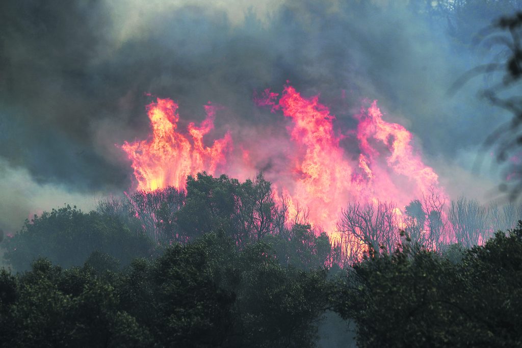 Φωτιά στον Έβρο: Σε ύφεση το πύρινο μέτωπο – 49 νέες πυρκαγιές το τελευταίο 24ωρο στη χώρα - ΕΛΛΑΔΑ