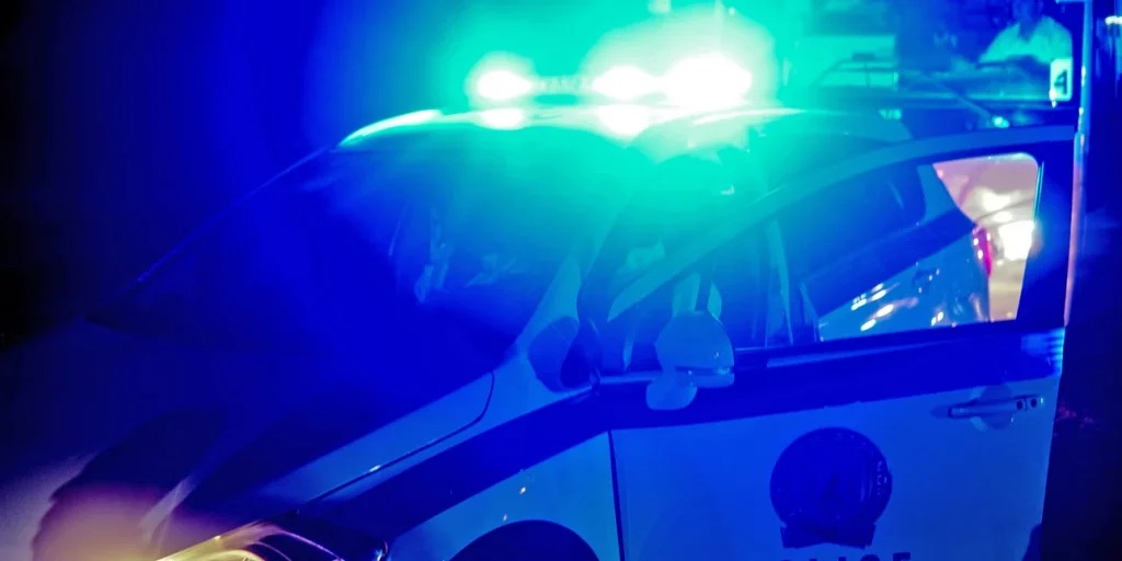 Χαλκιδική: Νεαρός τραυμάτισε έναν επιχειρηματία και δύο αστυνομικούς και επιχείρησε να κάψει αυτοκίνητο - ΕΛΛΑΔΑ
