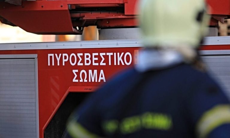 Συλλήψεις σε Ηλεία και επιβολή διοικητικών προστίμων για πρόκληση πυρκαγιάς - ΕΛΛΑΔΑ