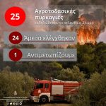 Ενημέρωση για τις αγροτοδασικές πυρκαγιές του τελευταίου 24ωρου