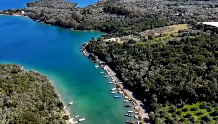 «Αμβρακικός-Ιστορίες-ζωής»-Η-σημασία-της-προστασίας-ενός-μοναδικού-οικοσυστήματος