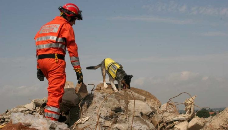 Δράμα:-Επιχείρηση-έρευνας-και-διάσωσης-άνδρα-από-δύσβατο-σημείο-στο-δάσος-Φρακτού