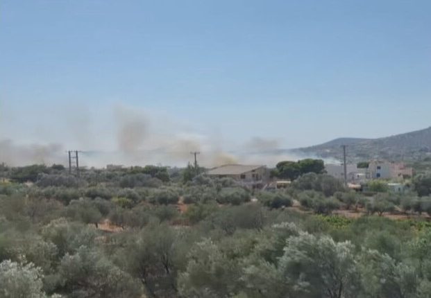 Υπό-έλεγχο-η-φωτιά-σε-Ανάβυσσο-και-Παλαιά-Φώκαια-–-Απειλήθηκαν-σπίτια