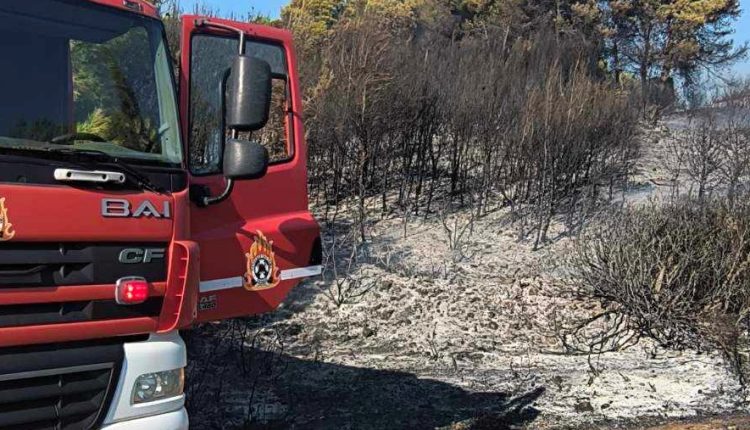 Αχαΐα:-Πυρκαγιά-σε-δασική-έκταση-στην-περιοχή-Κάτω-Βελιτσές