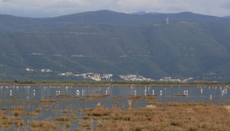 Ενιαίο-μέτωπο-φορέων-για-τη-διάσωση-του-Αμβρακικού