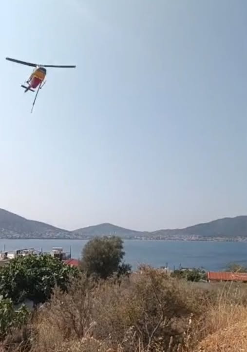 Πυρκαγιά-σε-περιοχή-με-χαμηλή-βλάστηση-στην-περιοχή-Ρέστη-Σαλαμίνας