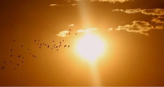 Ο-φετινός-Μάιος,-ο-2ος-πιο-ζεστός-που-έχει-καταγραφεί-στον-πλανήτη