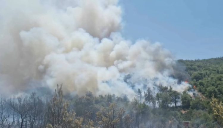 yπό-μερικό-έλεγχο-η-πυρκαγιά-στο-Άνω-Σούλι-Μαραθώνα