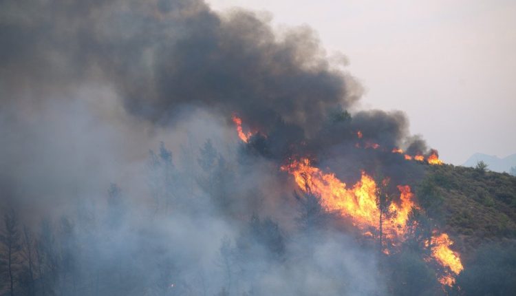 Πυρκαγιά-στην-Αγία-Μαρίνα-Γραμματικού:-Μήνυμα-του-112-στους-κατοίκους