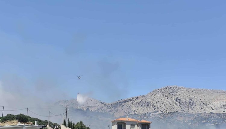 Πυρκαγιά-στην-περιοχή-Κοφινάς-,-στη-πόλη-της-Χίου