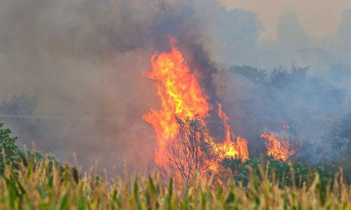 Μεγάλη-πυρκαγιά-στη-Χωριστή-Δράμας:-Αυξήθηκαν-οι-πυροσβεστικές-δυνάμεις