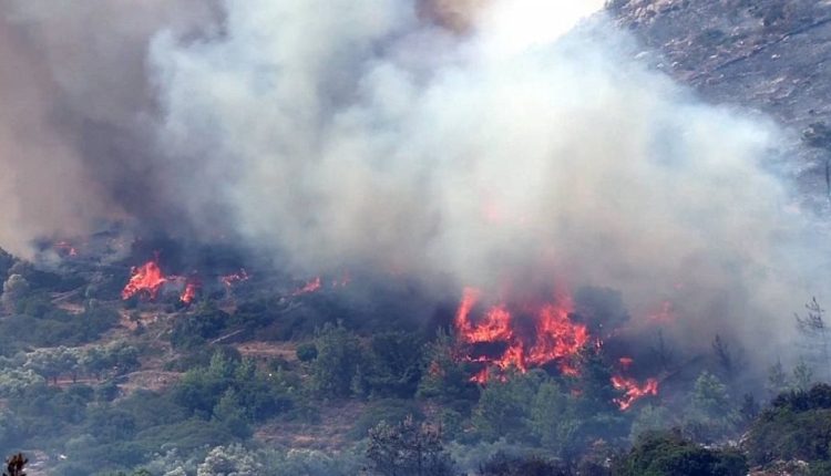 Σε-ύφεση-οι-πυρκαγιές-στην-Χίο:-Μάχη-με-τις-αναζωπυρώσεις-σε-διάσπαρτες-μικρές-εστίες