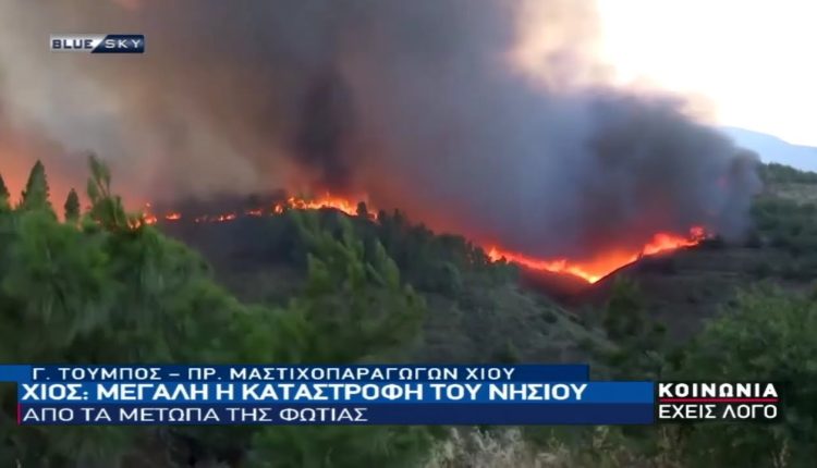 Ο-Πρ.-Μαστιχοπαραγωγών-Χίου-στο-bluesky-για-την-καταστροφή-στο-νησί-από-τις-πυρκαγιές