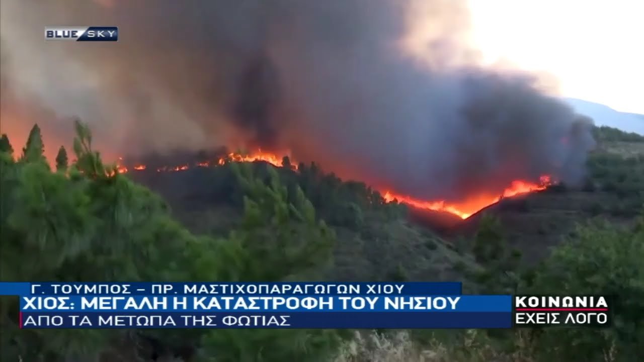 Ο-Πρ.-Μαστιχοπαραγωγών-Χίου-στο-bluesky-για-την-καταστροφή-στο-νησί-από-τις-πυρκαγιές