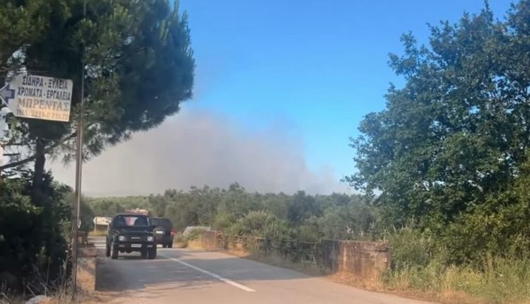 Φωτιά-στην-περιοχή-Αχλάδι-Στυλίδας–-Μήνυμα-112-στους-κατοίκους-να-είναι-σε-ετοιμότητα