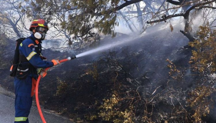 Σε-ύφεση-η-φωτιά-στη-Ραφήνα:-Σε-επιφυλακή-ισχυρές-πυροσβεστικές-δυνάμεις